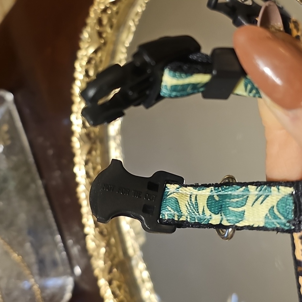 Play On DOG COLLAR 🐕 - Picture 10 of 16
